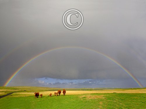 Rainbow near Balranald 1 DM1355